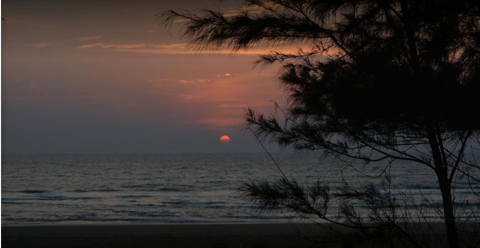 Campcee By Gokarna Adventure Hotel Exterior foto